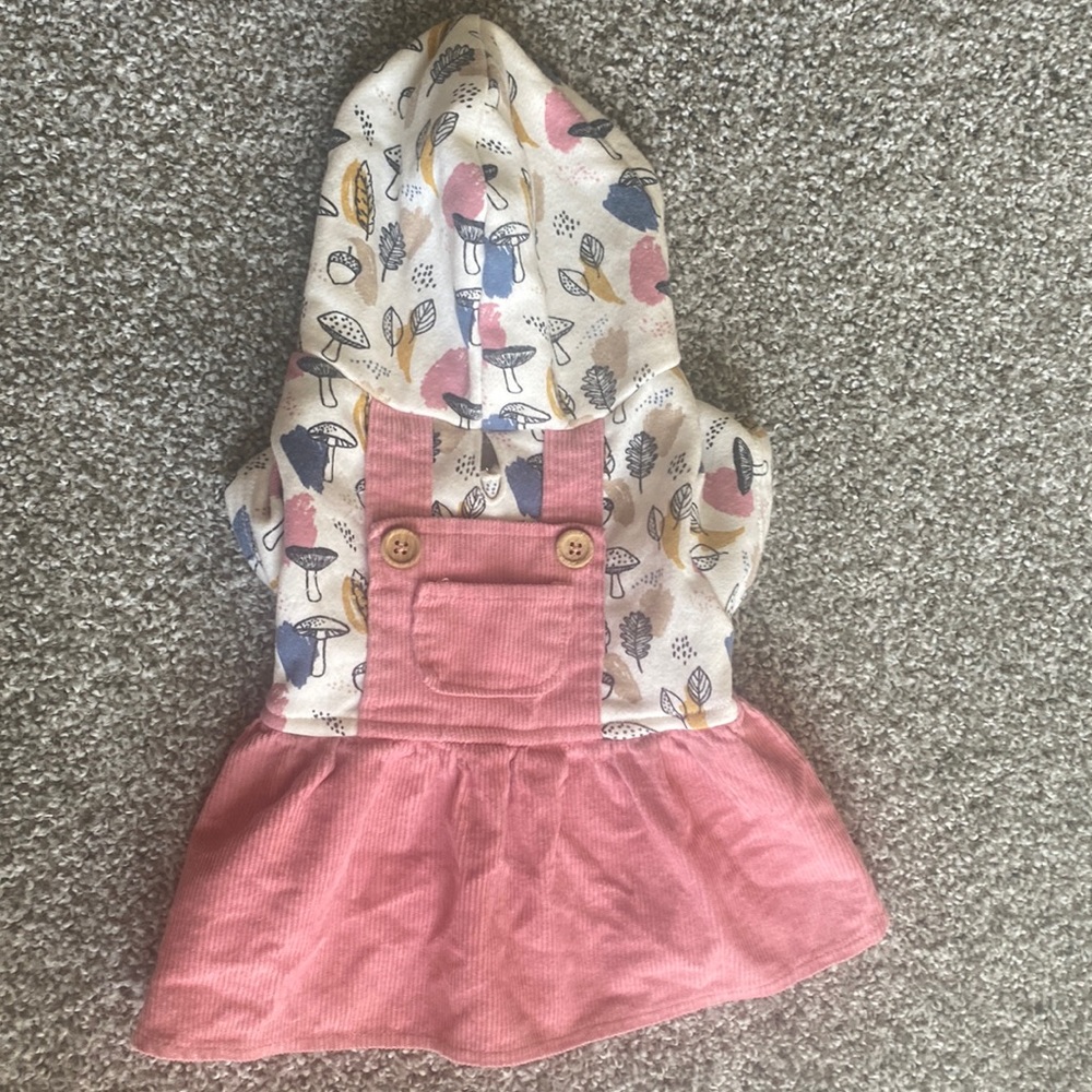 Dog outfit